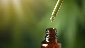 Olejek CBD dla zwierząt domowych